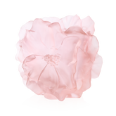 VASO CAMELIA ROSA DAUM