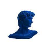 PICCOLO DAVID BUSTO IN GESSO VELVET ADRIANI E ROSSI