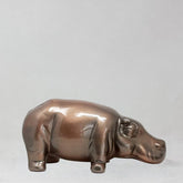HIPPO FINITURA LUCIDA ADRIANI E ROSSI