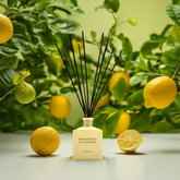 BERGAMOTTO DI CALABRIA CERERIA MOLLA'