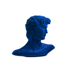 PICCOLO DAVID BUSTO IN GESSO VELVET ADRIANI E ROSSI