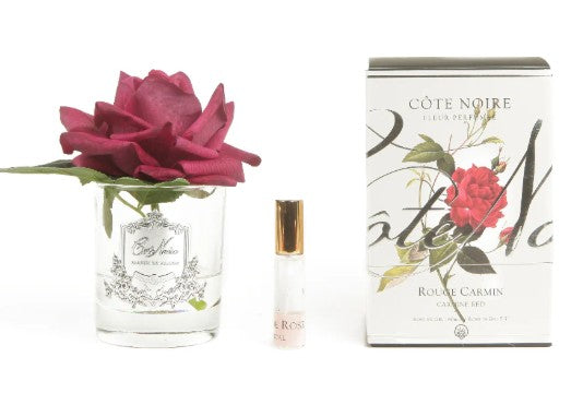 ROSA PROFUMATA COTE NOIRE