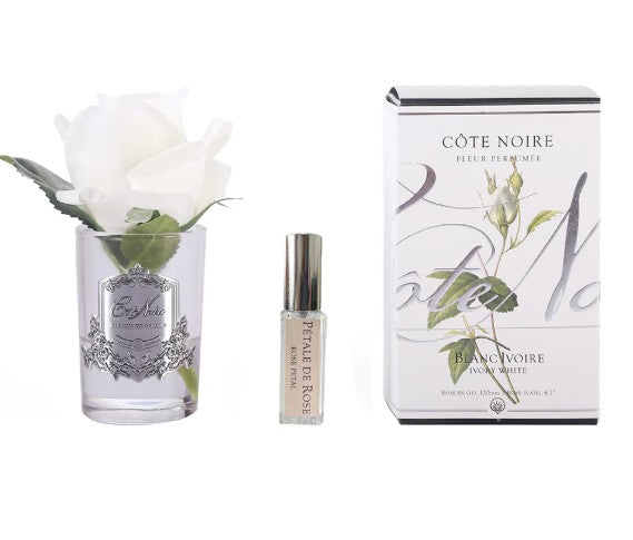 ROSA PROFUMATA PICCOLA COTE NOIRE