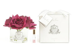 ROSA PROFUMATA 5 PEZZI COTE NOIRE