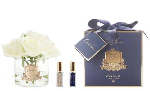 ROSA PROFUMATA 5 PEZZI COTE NOIRE