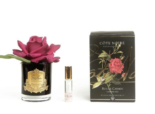 ROSA PROFUMATA COTE NOIRE