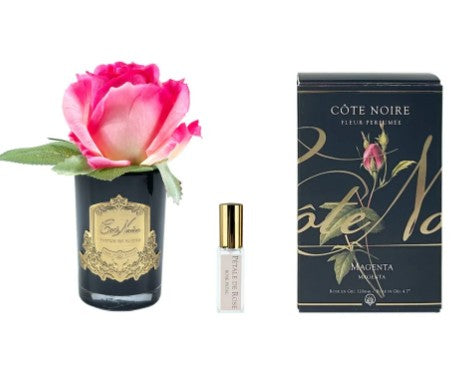 ROSA PROFUMATA PICCOLA COTE NOIRE