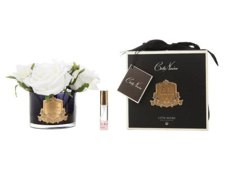 ROSA PROFUMATA 5 PEZZI COTE NOIRE