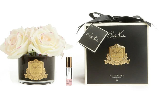 ROSA PROFUMATA 5 PEZZI COTE NOIRE