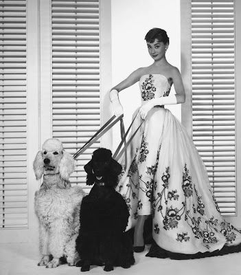 QUADRO MONOCHROME MAGIC AUDREY DUE CANI