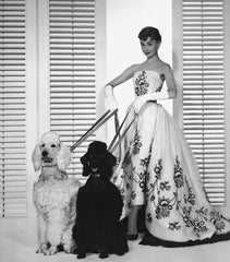 QUADRO MONOCHROME MAGIC AUDREY DUE CANI