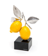 SCULTURA LIMONI SEQUENZE