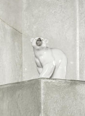 SCULTURA ORSO BIANCO LLADRO'