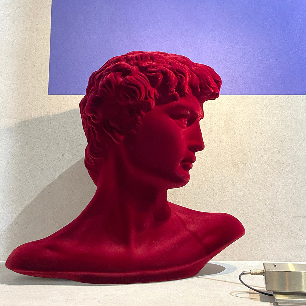 PICCOLO DAVID BUSTO IN GESSO VELVET ADRIANI E ROSSI