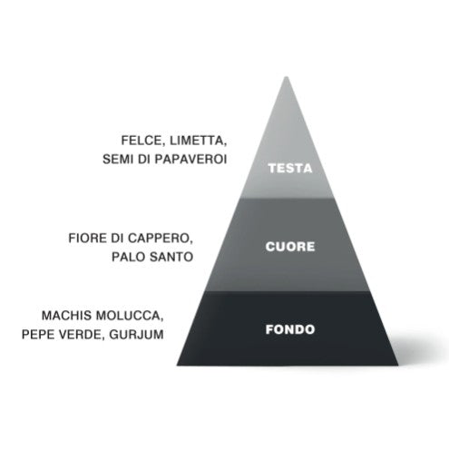 PROFUMATORE HOME FRAGRANCE SEQUENZE