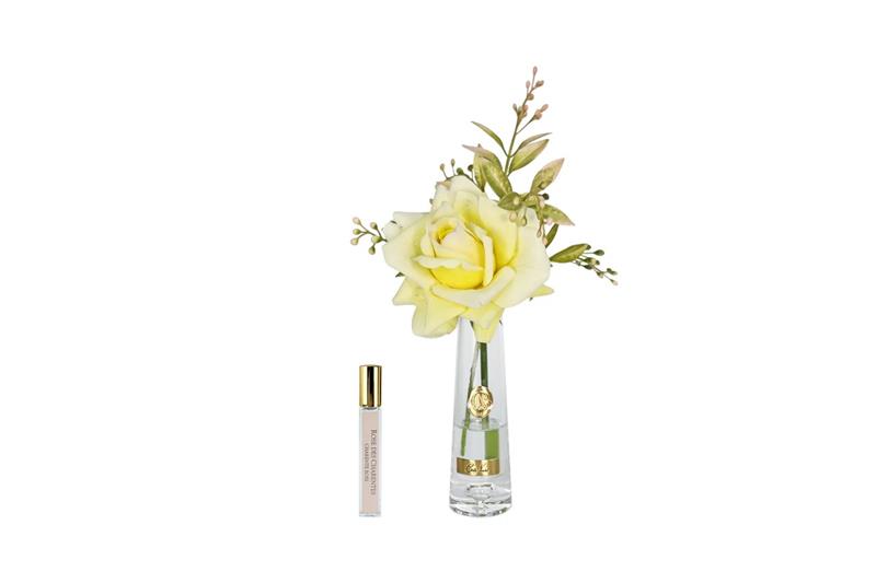 ROSA PROFUMATA VASO ALTO COTE NOIRE