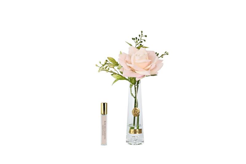 ROSA PROFUMATA VASO ALTO COTE NOIRE