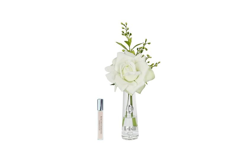 ROSA PROFUMATA VASO ALTO COTE NOIRE